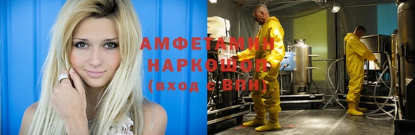 твердый Заводоуковск