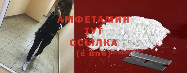 твердый Заводоуковск