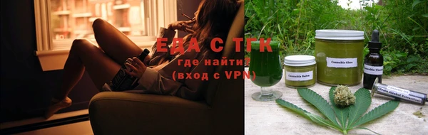 твердый Заводоуковск
