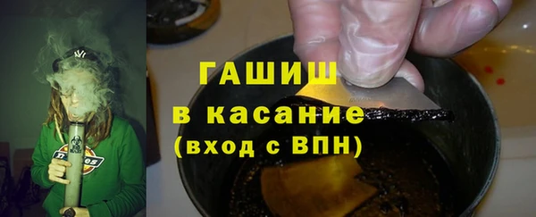 твердый Заводоуковск
