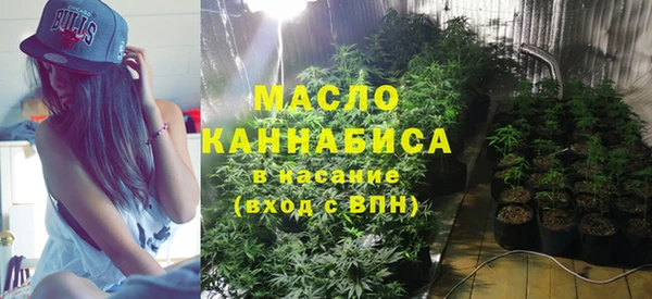 твердый Заводоуковск