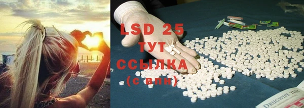 твердый Заводоуковск